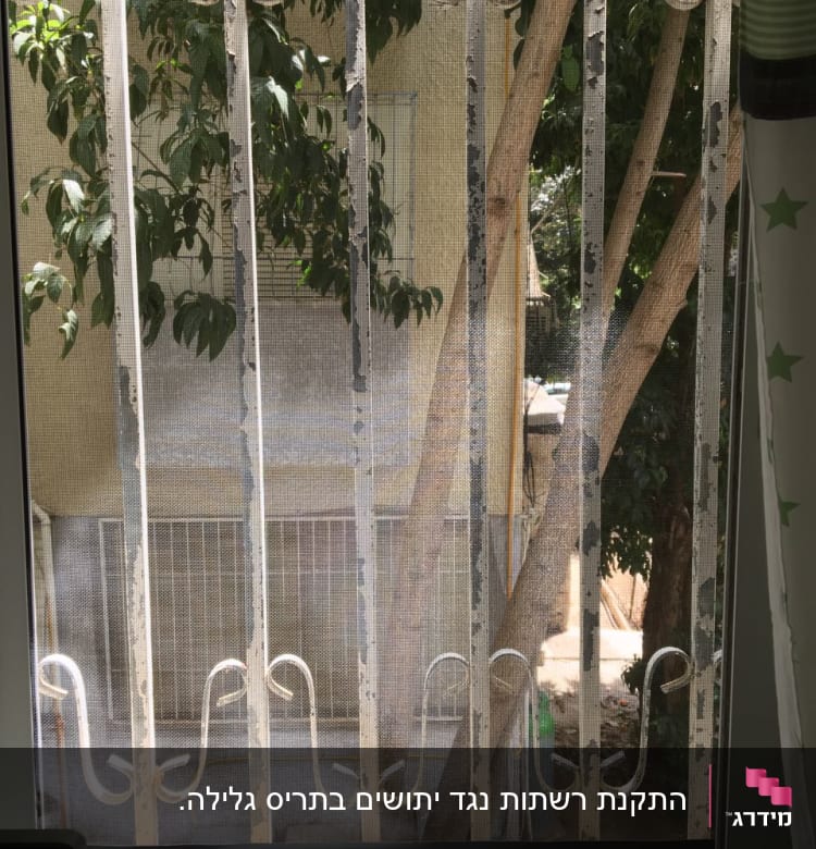 סורגי אלומיניום חלודים עם צבע מתקלף